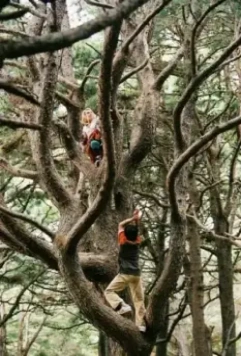 Мост в Терабитию 2006 скачать через торрент бесплатно Мост в Терабитию 2006 скачать через торрент бесплатно