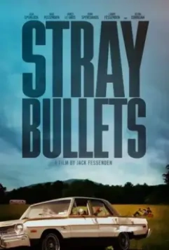 Шальные пули / Stray Bullets 2016 скачать через торрент в хорошем качестве