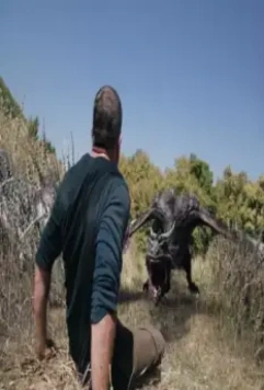 Во имя короля 3 2014 скачать с торрента Во имя короля 3 2014 скачать с торрента