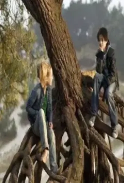 Мальчик-оборотень и волшебный автобус 2005 скачать с торрента Мальчик-оборотень и волшебный автобус 2005 скачать с торрента