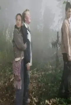 Мальчик-оборотень и волшебный автобус 2005 скачать через торрент бесплатно Мальчик-оборотень и волшебный автобус 2005 скачать через торрент бесплатно