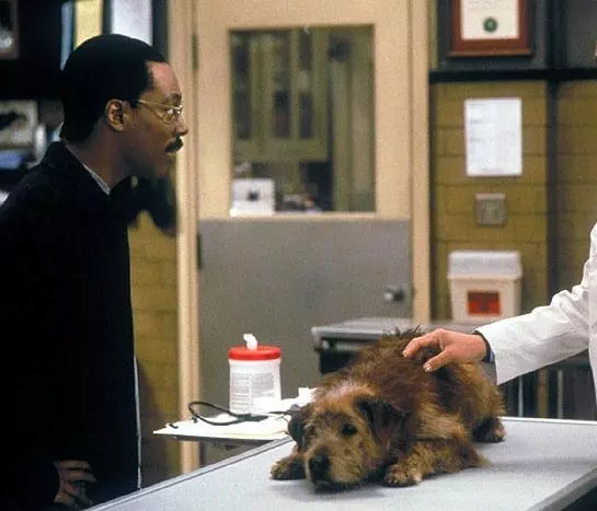 Доктор Дулиттл 1998 скачать через торрент бесплатно Доктор Дулиттл 1998 скачать через торрент бесплатно