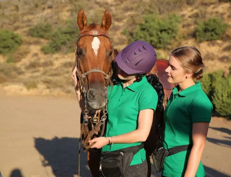 Прирожденная наездница 2018 скачать торрентом Прирожденная наездница 2018 скачать торрентом