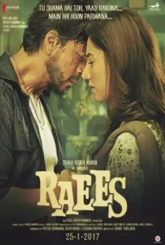 Богатей / Raees 2017 скачать через торрент в хорошем качестве