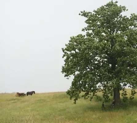 Горячее сердце 2011 скачать с торрента Горячее сердце 2011 скачать с торрента