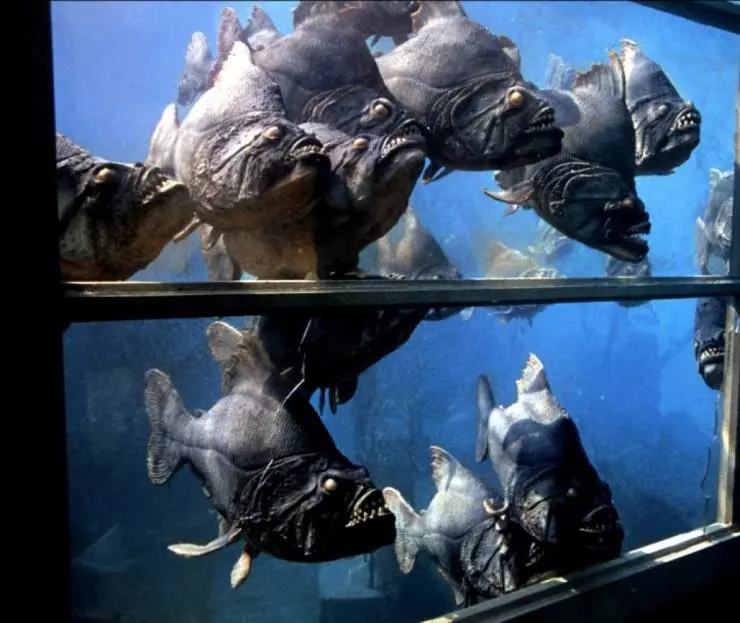 Пираньи 1978 скачать через торрент бесплатно Пираньи 1978 скачать через торрент бесплатно