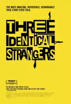 Три одинаковых незнакомца / Three Identical Strangers 2018 скачать через торрент в хорошем качестве