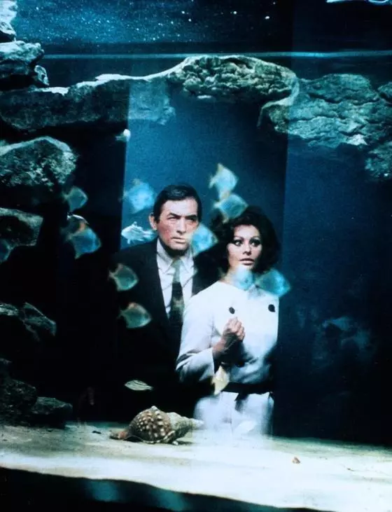 Арабеска 1966 скачать с торрента Арабеска 1966 скачать с торрента