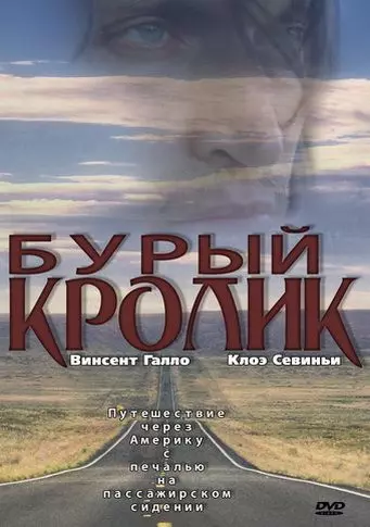 Бурый кролик / The Brown Bunny 2003 скачать через торрент в хорошем качестве