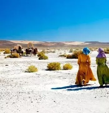 Обход Мика 2010 скачать с торрента Обход Мика 2010 скачать с торрента