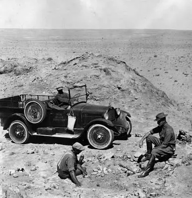 Динозавры живы! 3D 2007 скачать с торрента Динозавры живы! 3D 2007 скачать с торрента