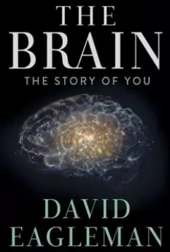 Мозг с Дэвидом Иглменом / The Brain with Dr. David Eagleman 2015 скачать через торрент в хорошем качестве