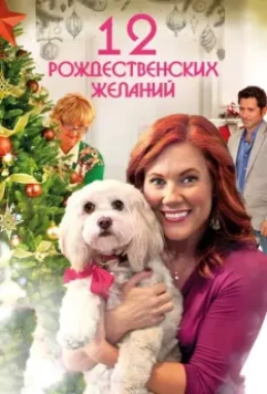 12 Рождественских желаний / The Twelve Wishes of Christmas 2011 скачать через торрент в хорошем качестве