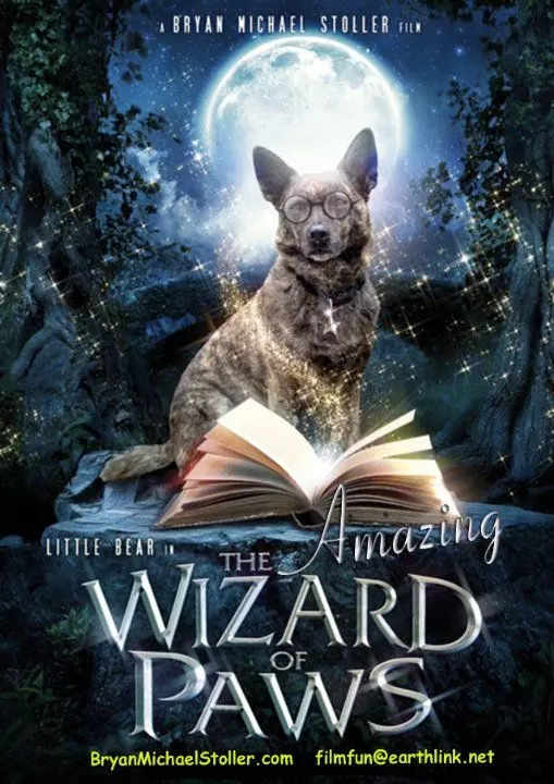 Удивительный волшебник из Лапы / The Amazing Wizard of Paws 2015 скачать через торрент в хорошем качестве