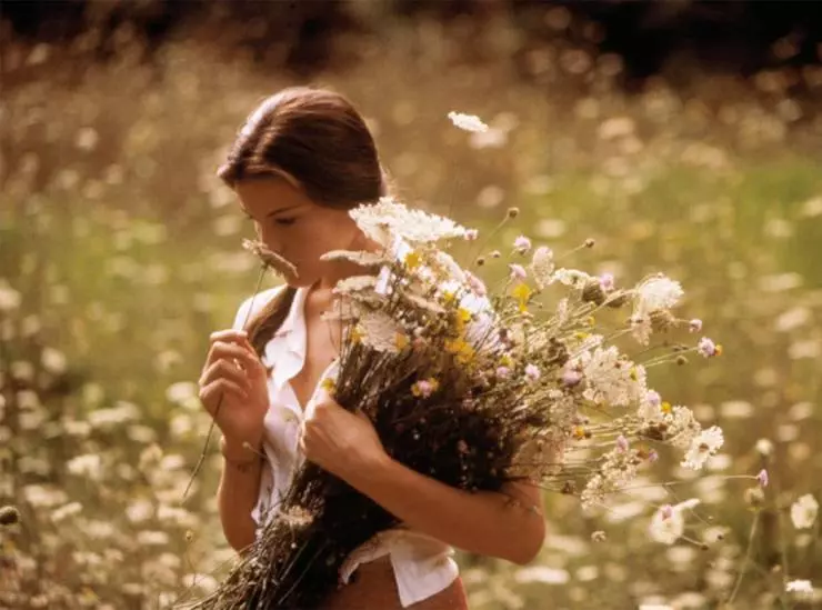 Ускользающая красота 1996 скачать с торрента Ускользающая красота 1996 скачать с торрента