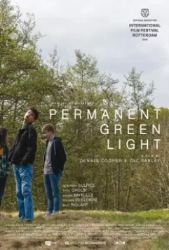Постоянный зелёный свет / Permanent Green Light 2018 скачать через торрент в хорошем качестве