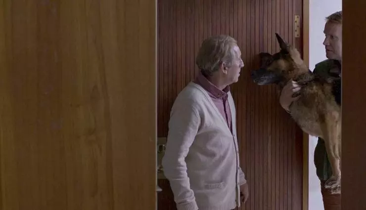 Под деревом 2017 скачать с торрента Под деревом 2017 скачать с торрента