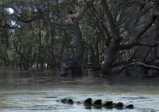 Хищные воды 2007 скачать через торрент бесплатно Хищные воды 2007 скачать через торрент бесплатно