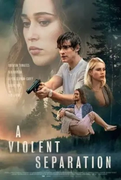 Насильственное разделение / A Violent Separation 2019 скачать через торрент в хорошем качестве