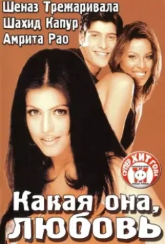 Какая она, любовь / Ishq Vishk 2003 скачать через торрент в хорошем качестве