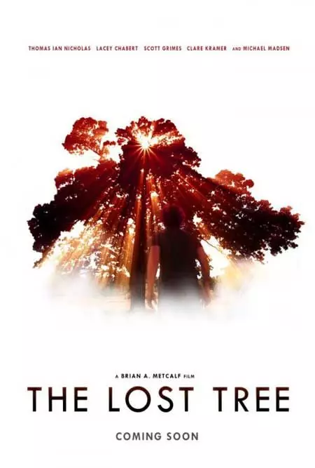 Потерянное дерево / The Lost Tree 2016 скачать через торрент в хорошем качестве