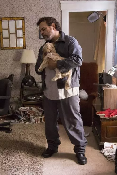 Кливлендские пленницы 2015 скачать через торрент бесплатно Кливлендские пленницы 2015 скачать через торрент бесплатно