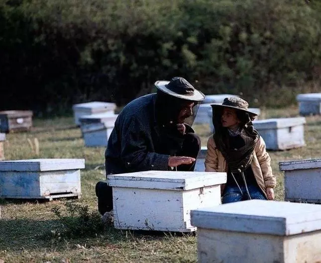 Пчеловод 1986 скачать с торрента Пчеловод 1986 скачать с торрента