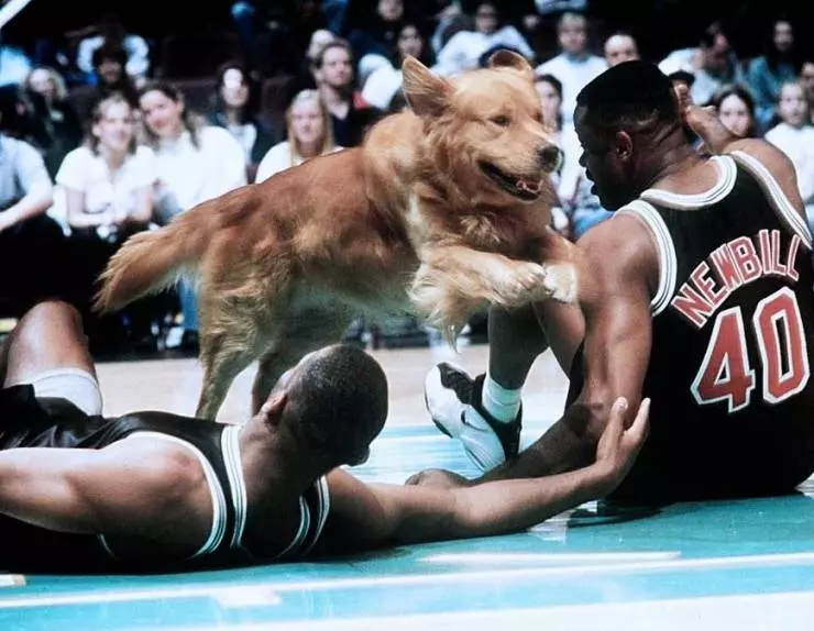 Король воздуха: Золотая лига 1998 скачать с торрента Король воздуха: Золотая лига 1998 скачать с торрента