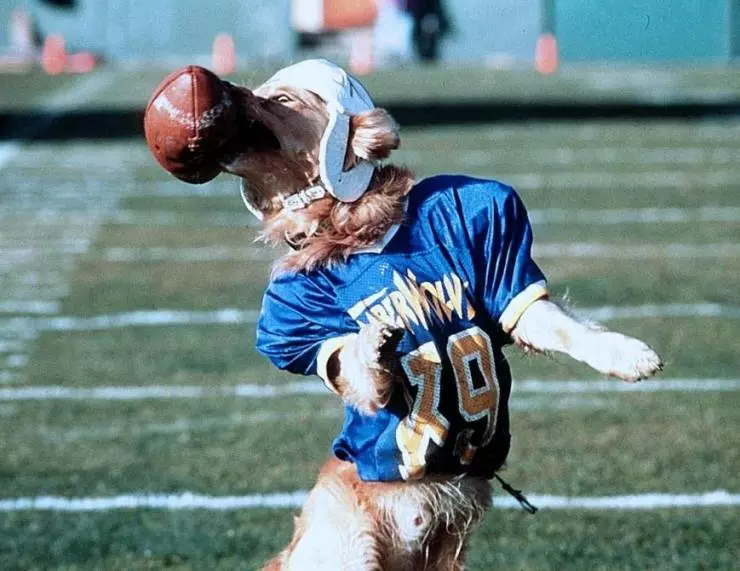 Король воздуха: Золотая лига 1998 скачать через торрент бесплатно Король воздуха: Золотая лига 1998 скачать через торрент бесплатно