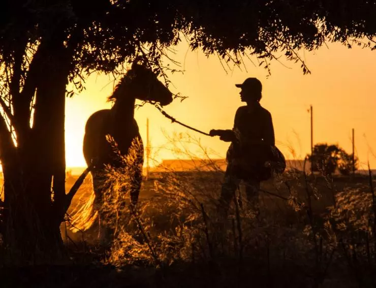 Положитесь на Пита 2017 скачать с торрента Положитесь на Пита 2017 скачать с торрента