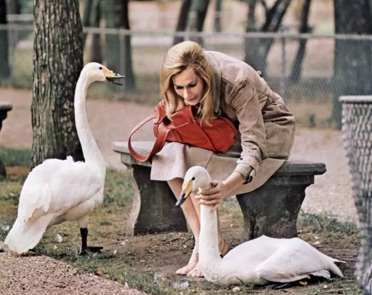 Брюстер МакКлауд 1970 скачать торрентом Брюстер МакКлауд 1970 скачать торрентом