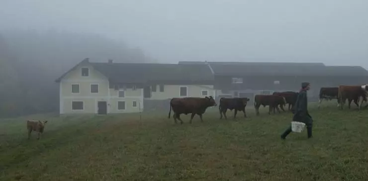 Солдат Жаннетт 2013 скачать с торрента Солдат Жаннетт 2013 скачать с торрента