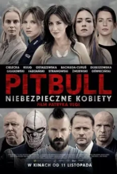 Питбуль. Опасные женщины / Pitbull. Niebezpieczne kobiety 2016 скачать через торрент в хорошем качестве