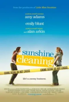 Чистка до блеска / Sunshine Cleaning 2008 скачать через торрент в хорошем качестве