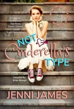 Совсем не Золушка / Not Cinderella's Type 2018 скачать через торрент в хорошем качестве