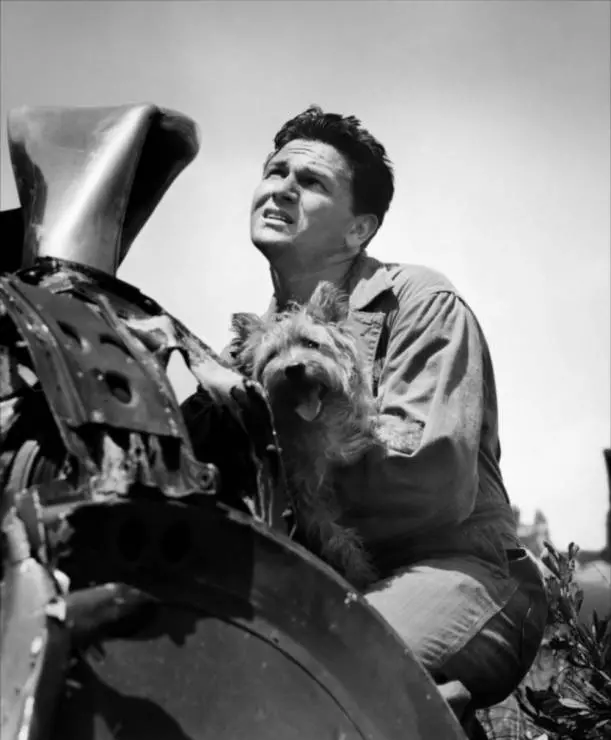 Военно-воздушные силы 1943 скачать с торрента Военно-воздушные силы 1943 скачать с торрента