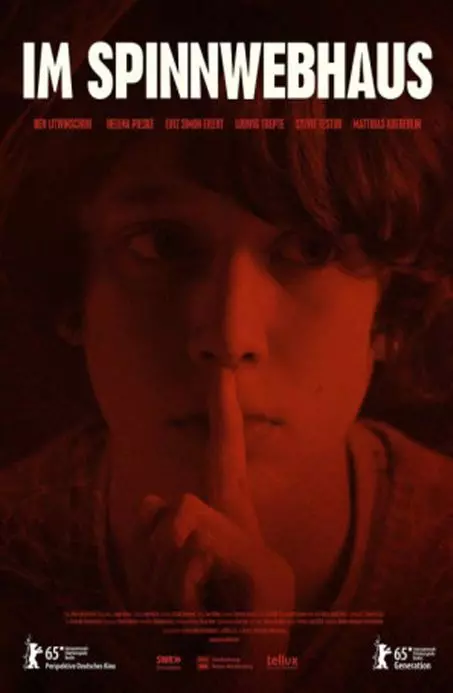 В доме из паутины / Im Spinnwebhaus 2015 скачать через торрент в хорошем качестве
