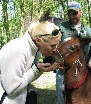 Рожденный свободным 2005 скачать торрентом Рожденный свободным 2005 скачать торрентом