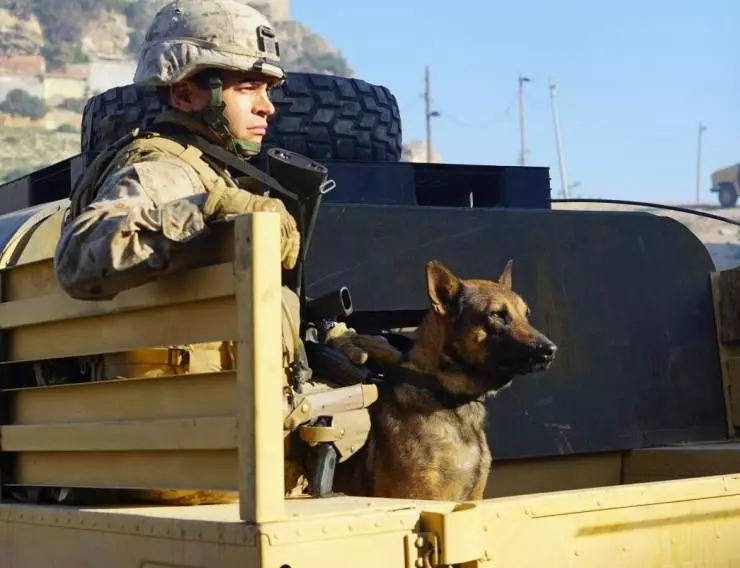 Меган Ливи 2017 скачать через торрент бесплатно Меган Ливи 2017 скачать через торрент бесплатно