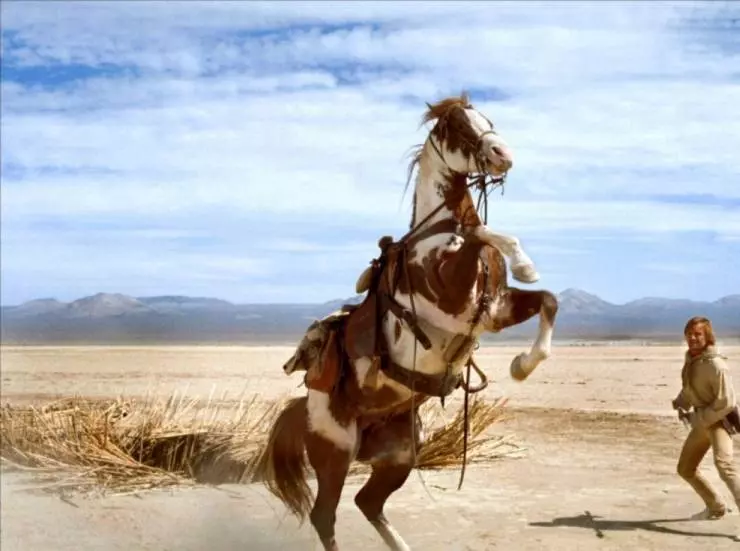 Идальго: Погоня в пустыне 2004 скачать с торрента Идальго: Погоня в пустыне 2004 скачать с торрента