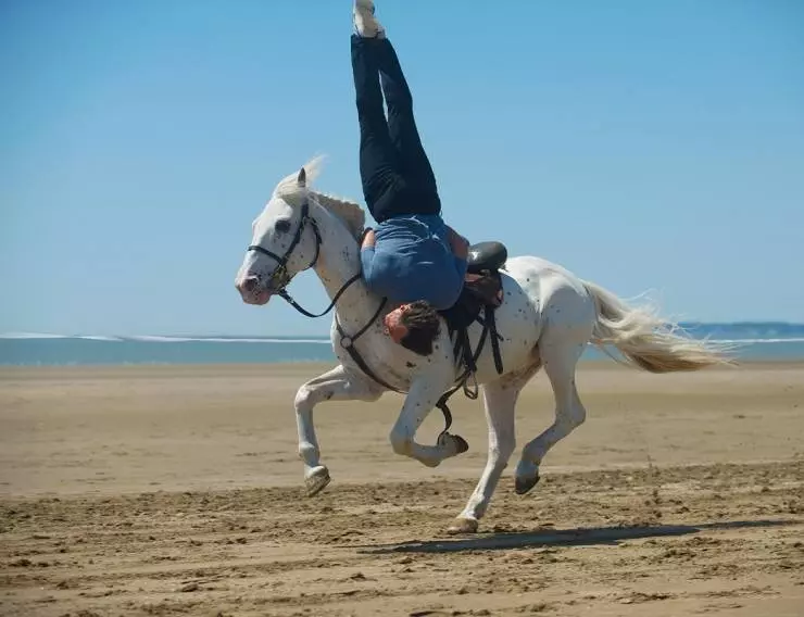 В равновесии 2014 скачать с торрента В равновесии 2014 скачать с торрента