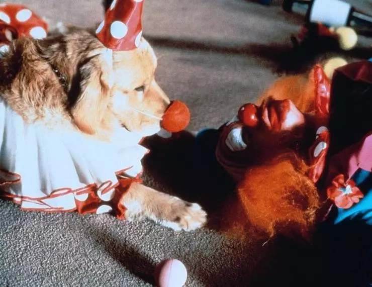 Король воздуха 1997 скачать через торрент бесплатно Король воздуха 1997 скачать через торрент бесплатно