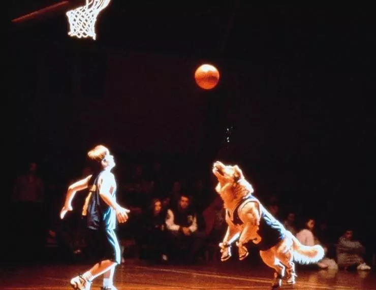 Король воздуха 1997 скачать торрентом Король воздуха 1997 скачать торрентом