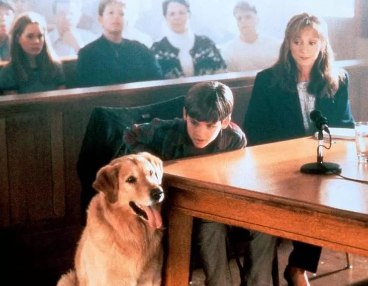 Король воздуха 1997 скачать с торрента Король воздуха 1997 скачать с торрента