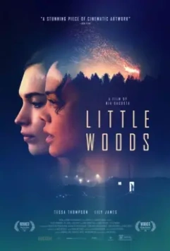 Лесок / Little.Woods 2018 скачать через торрент в хорошем качестве