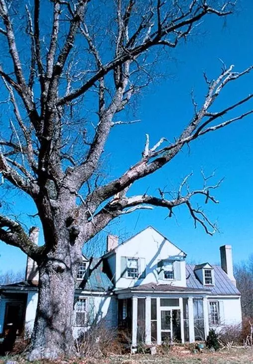 Убийства в Черри-Фолс 2000 скачать через торрент бесплатно Убийства в Черри-Фолс 2000 скачать через торрент бесплатно