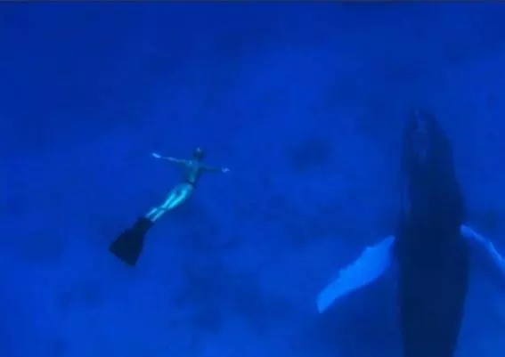 Бухта 2009 скачать торрентом Бухта 2009 скачать торрентом