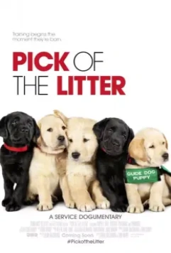 Выбор щенка / Pick of the Litter 2018 скачать через торрент в хорошем качестве