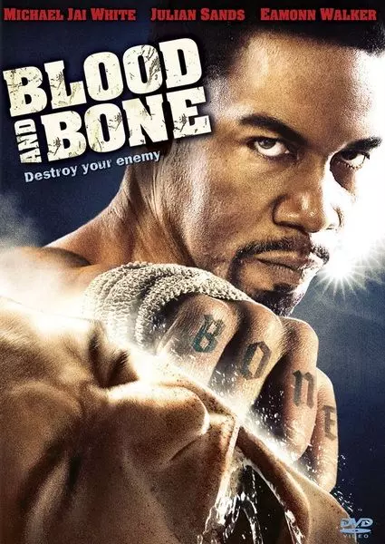 Кровь и кость / Blood and Bone 2009 скачать через торрент в хорошем качестве