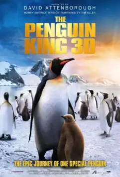 Король пингвинов / The Penguin King 2012 скачать через торрент в хорошем качестве